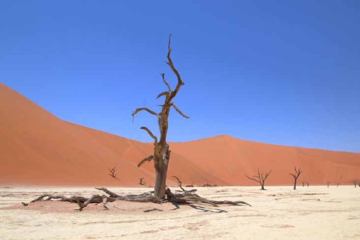 Mehr über den Artikel erfahren Namibia 2023 Tag 9: Sossusvlei