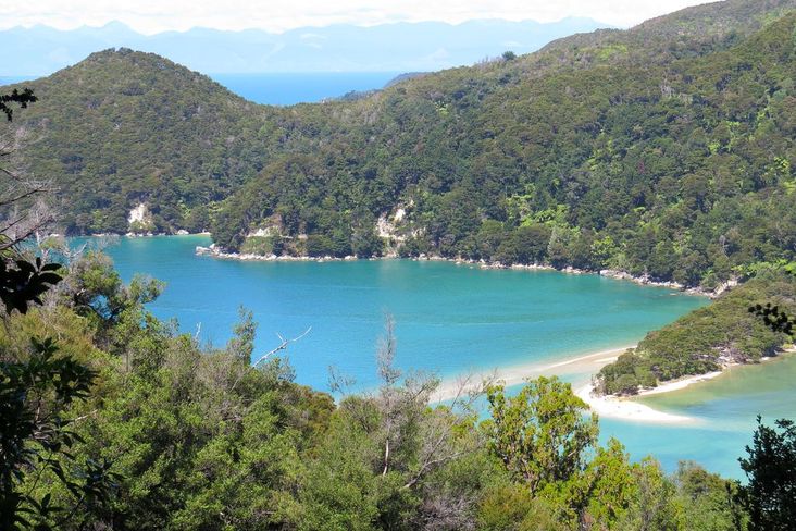 Mehr über den Artikel erfahren Neuseeland 2015 Tag 3: Abel Tasman