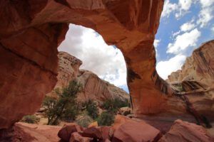 Mehr über den Artikel erfahren USA 2018 Tag 9: Capitol Reef