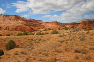 Bunte und skurril geformte Felsen entlang des Weges zum Zebra Canyon im Grand Staircase Escalante